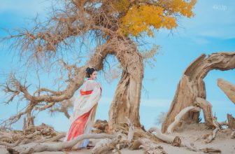 Coser@桜桃喵 惊鸿