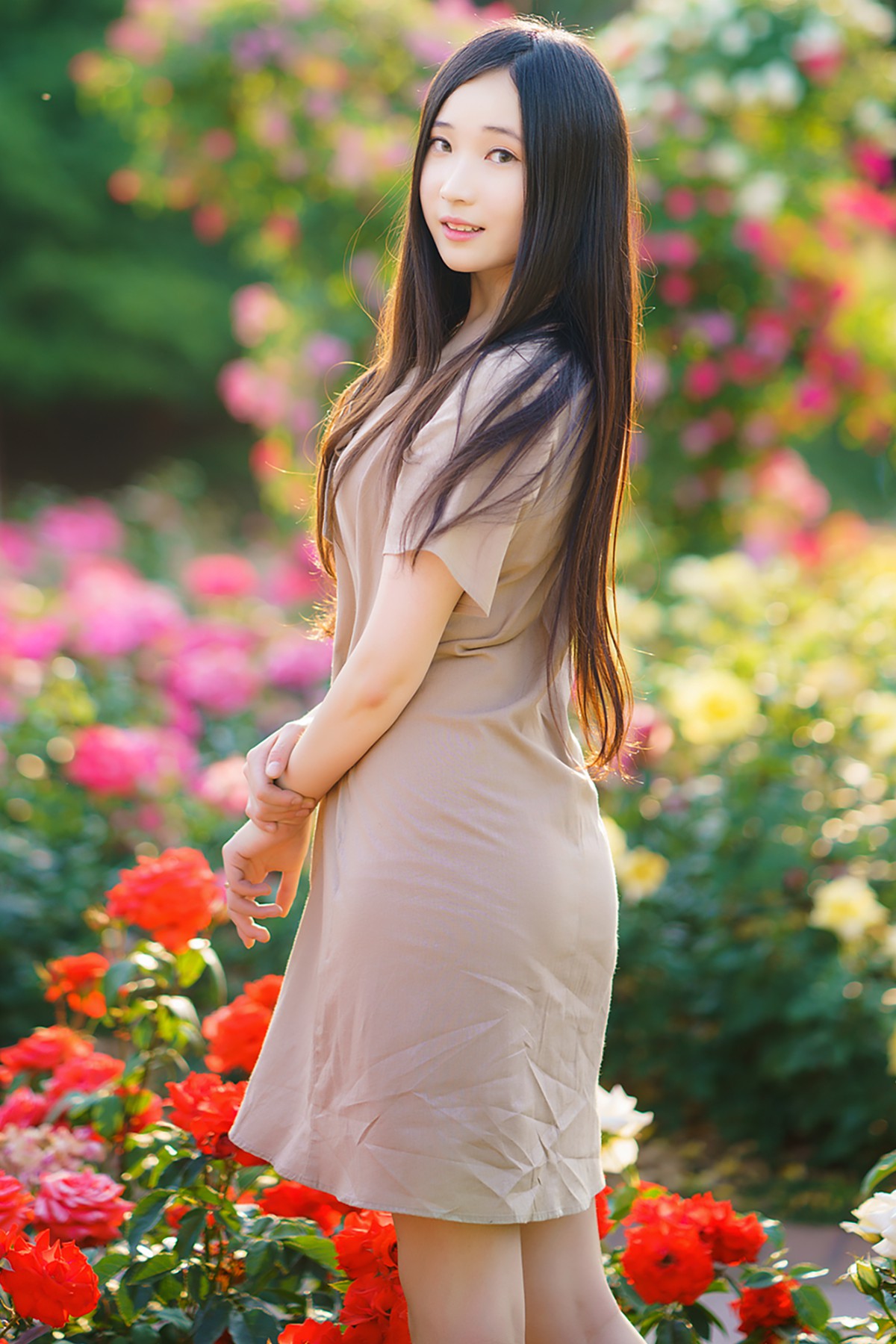 Bambi 밤비 – Lacerta Photography