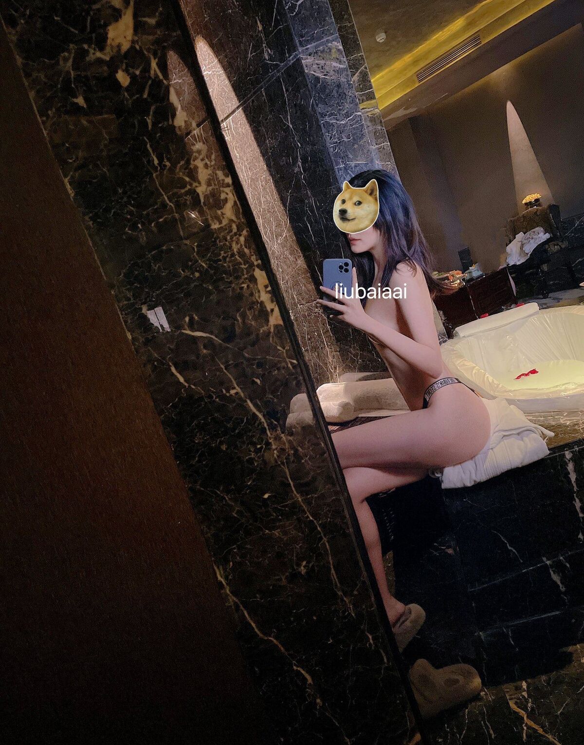 liubaiaai – 極品女神美穴超粉爽爆啪啪啪 (38P – 15V)
