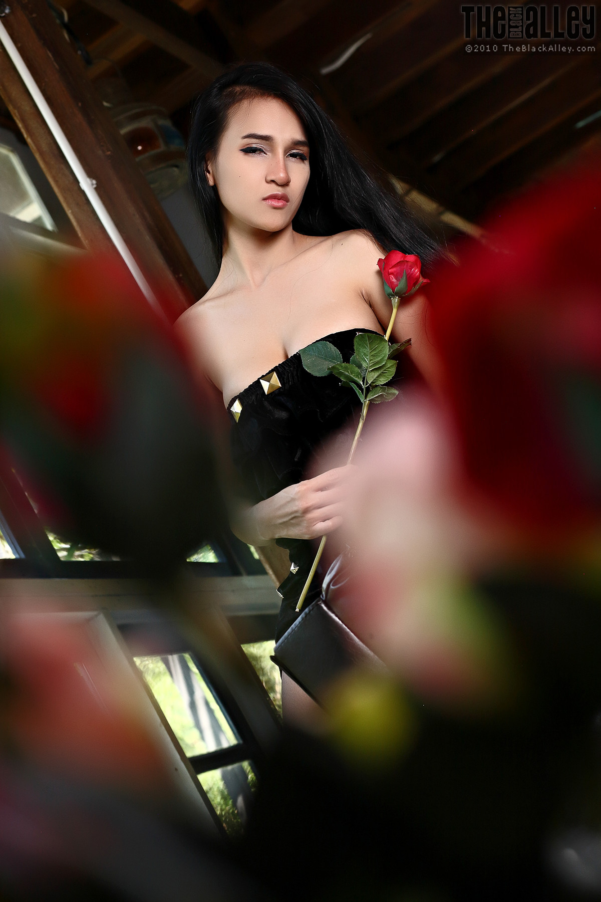 Ginny The Black Alley Photobook Set.12