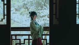 -矢量魚- – Maomao