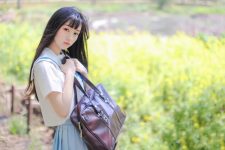 海棠花 - 萌图社