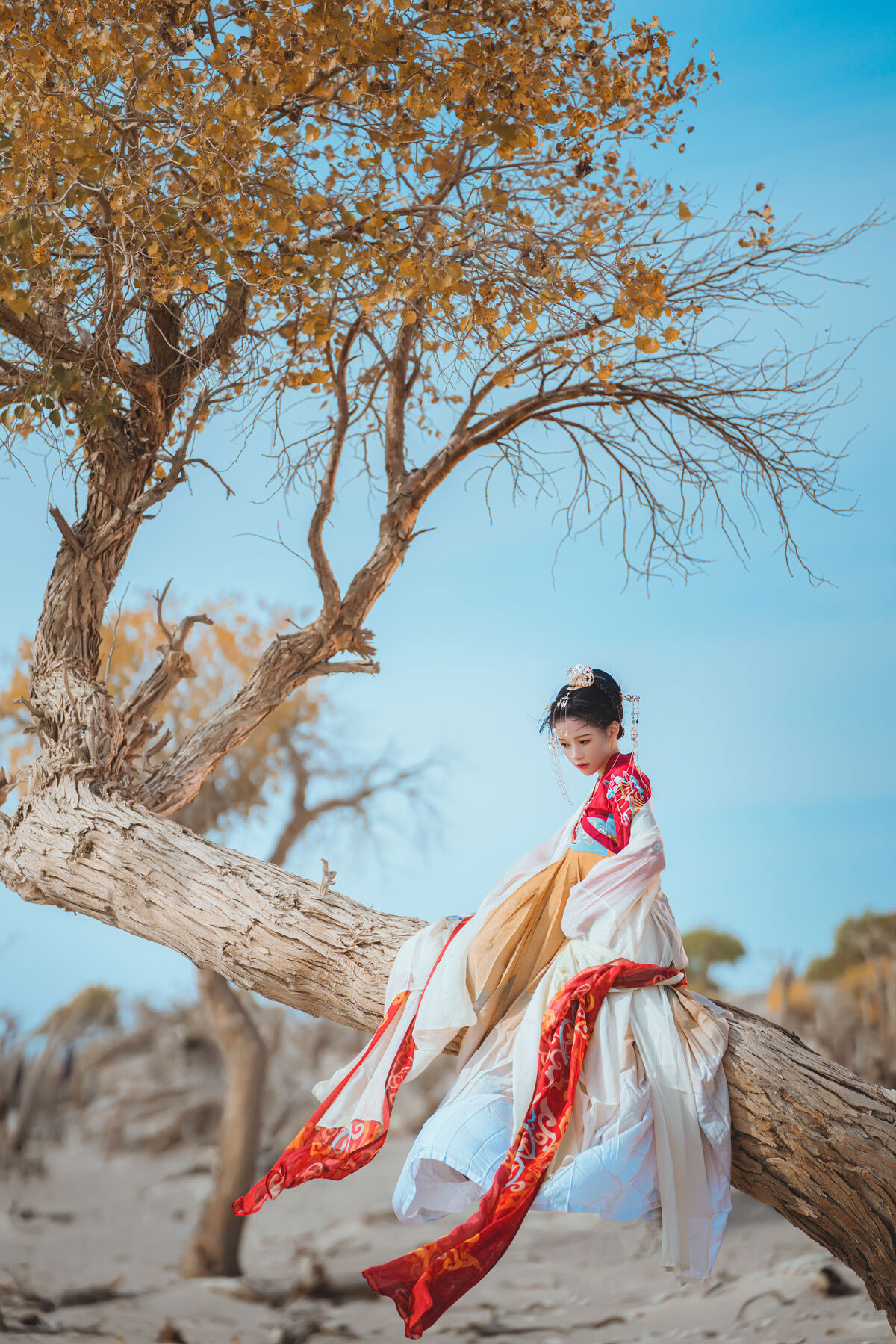 Coser@桜桃喵 – 惊鸿 (15P)
