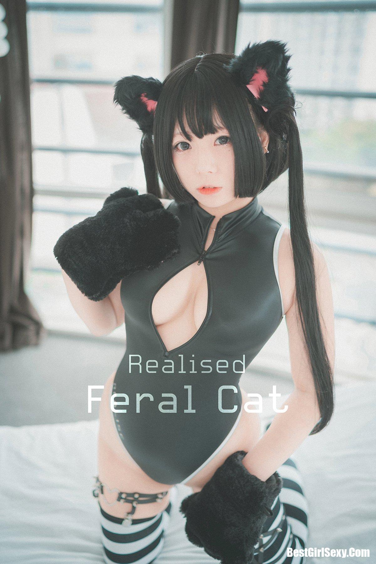 DJAWA 마루에몽 Realised Feral Cat