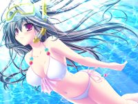 比基尼大胸爆乳动漫美女性感插画图片