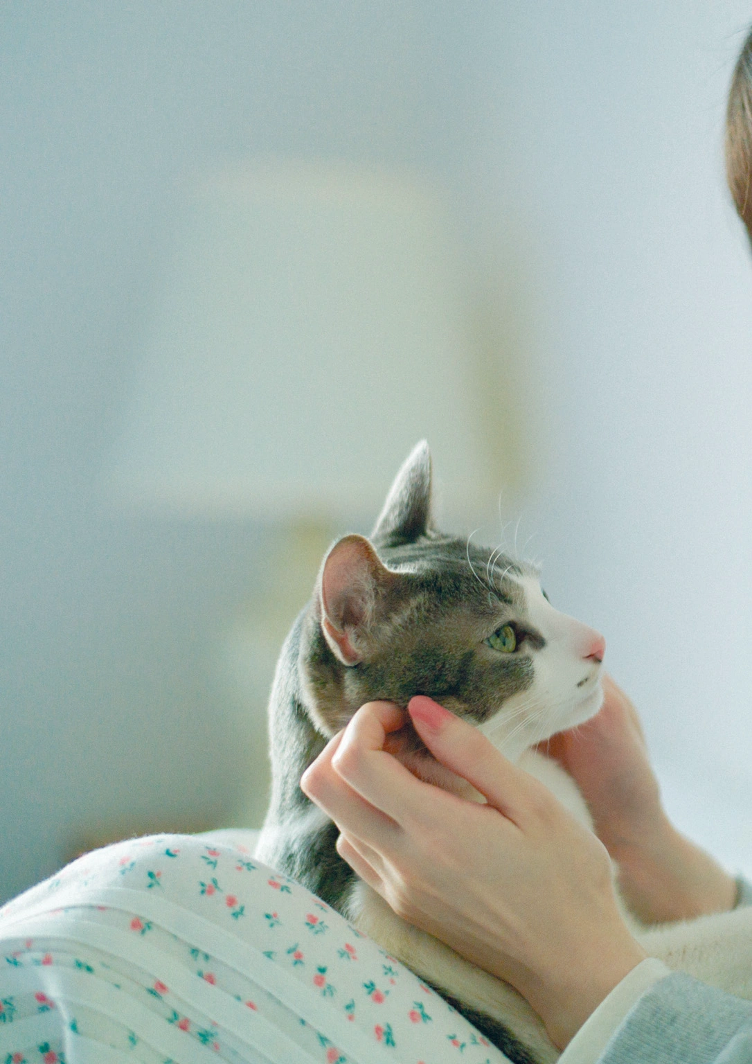 Kotoko Sasaki 佐々木琴子, 1st写真集 「明け方の夢」 Set.03