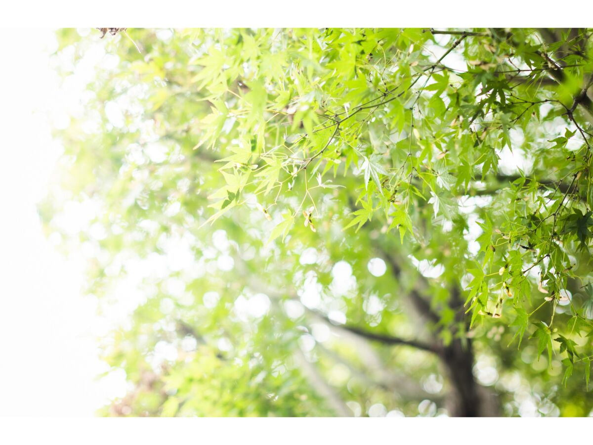 JP Hikari Kisaki 妃ひかり – オープンシャワー写真集 光りが射す方へ Part01 (57P)