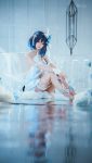 Coser@Seele麦麦 麦麦的回忆录 死律