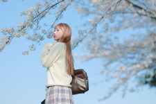 春、桜花、你