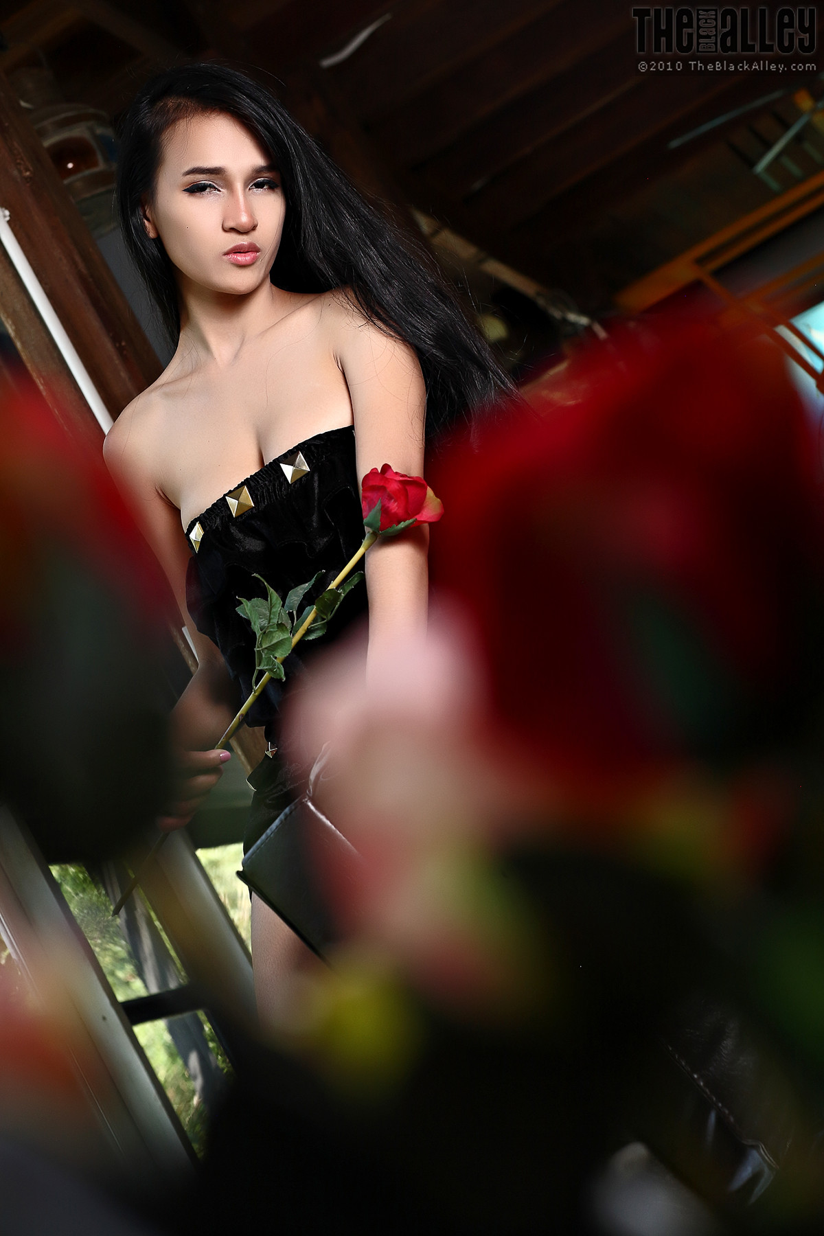 Ginny The Black Alley Photobook Set.12