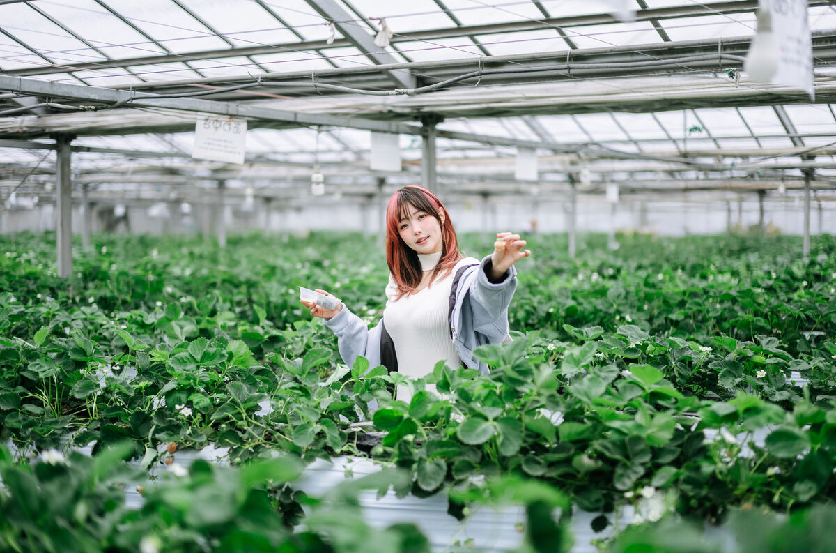 Coser@Ely_eee ElyEE子 – Strawberry Picking Date (35P – 2V)