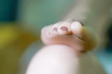 Cynthia優小醬_XG_68to72 (56P)