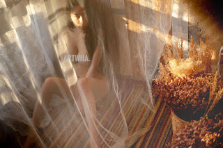 Artwha Desu – Photos P2