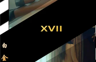 PartyCat | 2018.07.25 BCXVII [HQ 80P/778MB]