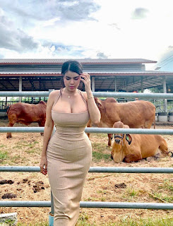 Yanisa Samohom P3
