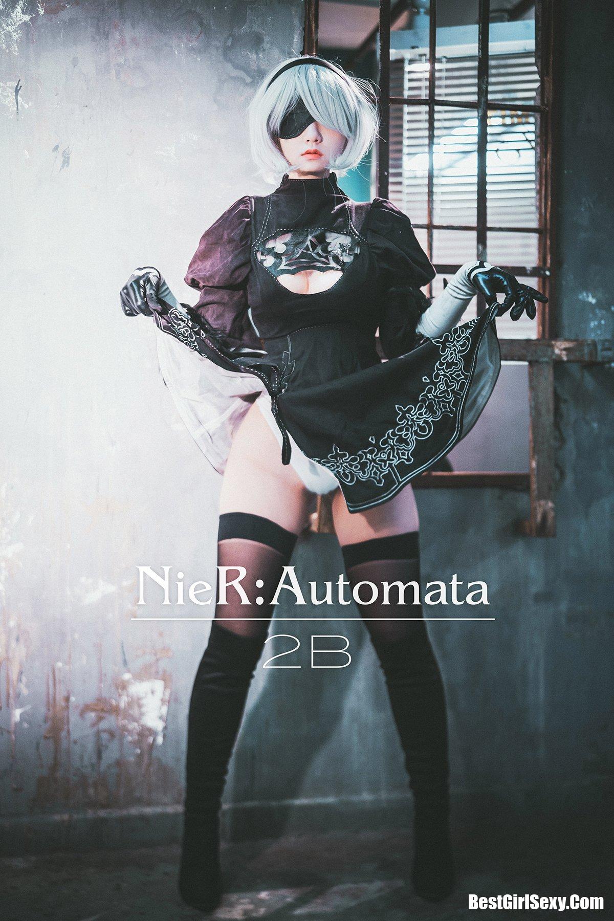 DJAWA 정제니 NieR Automata 2B