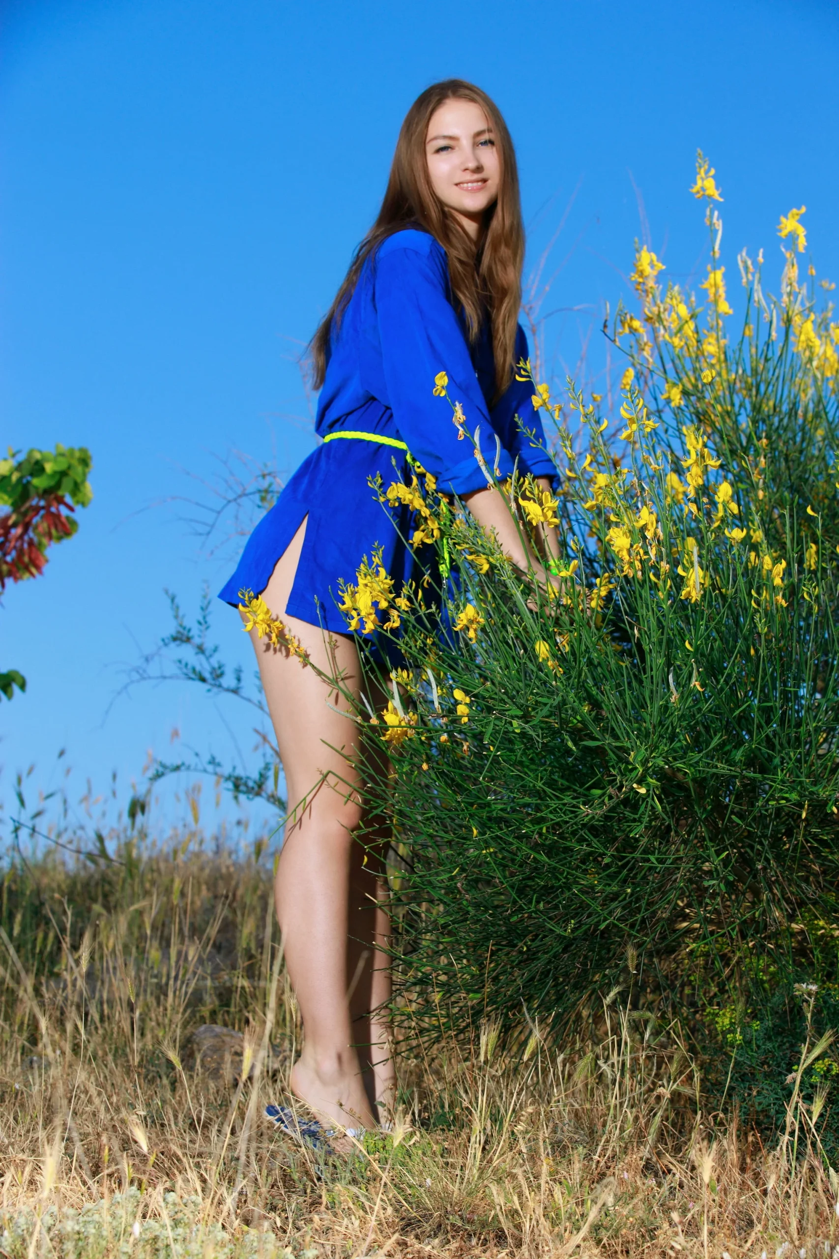 Izabel A Itine (121P)