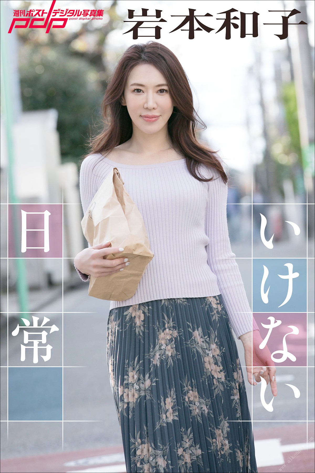 Photobook 2019-02-04 Kazuko Iwamoto 岩本和子 – Ikenai Nichijou
