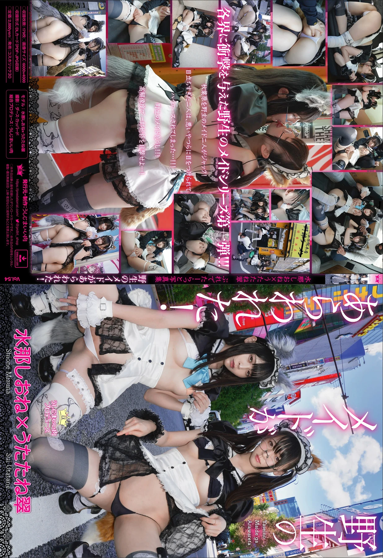 Sui Utatane うたたね翠, Mizuna Shione 水那しおね, 写真集 「野生のメイドがあらわれた！」 Set.04