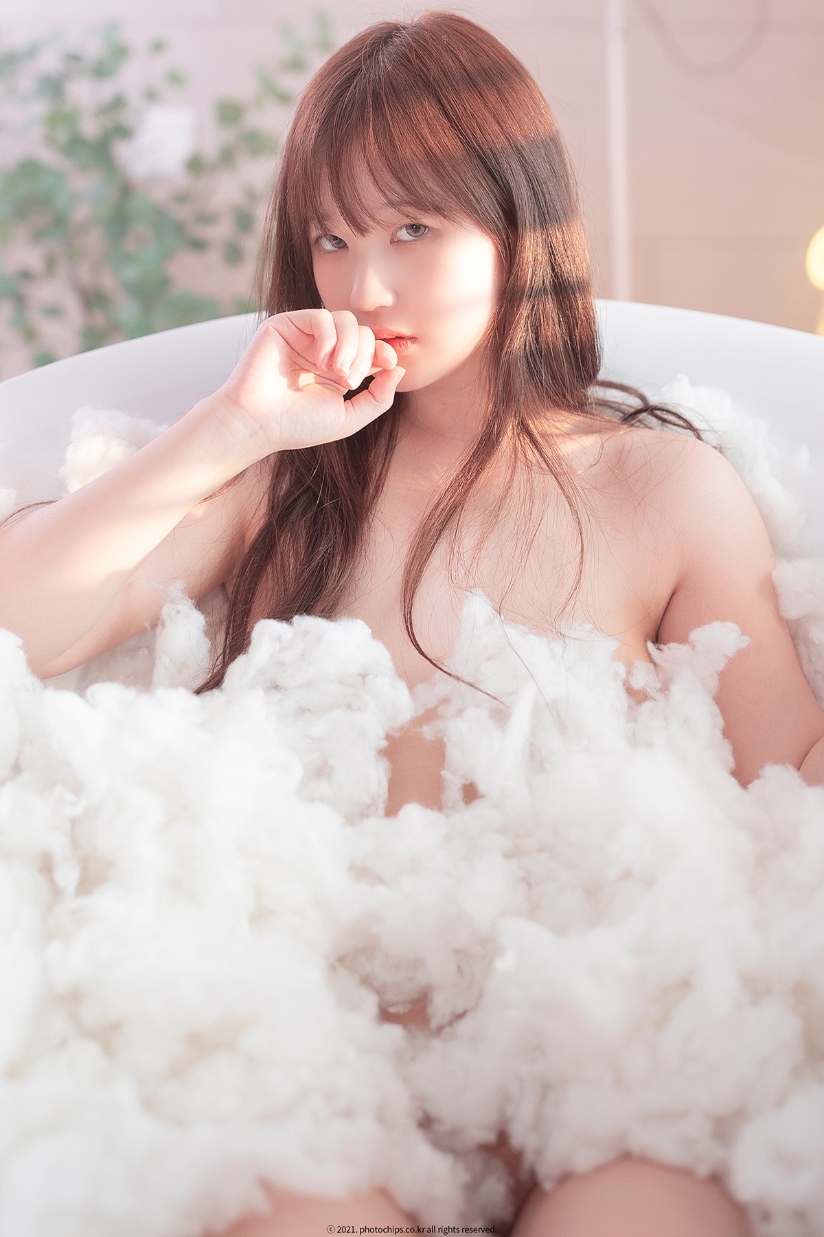 PhotoChips Vol.111 No.6 Sia 시아