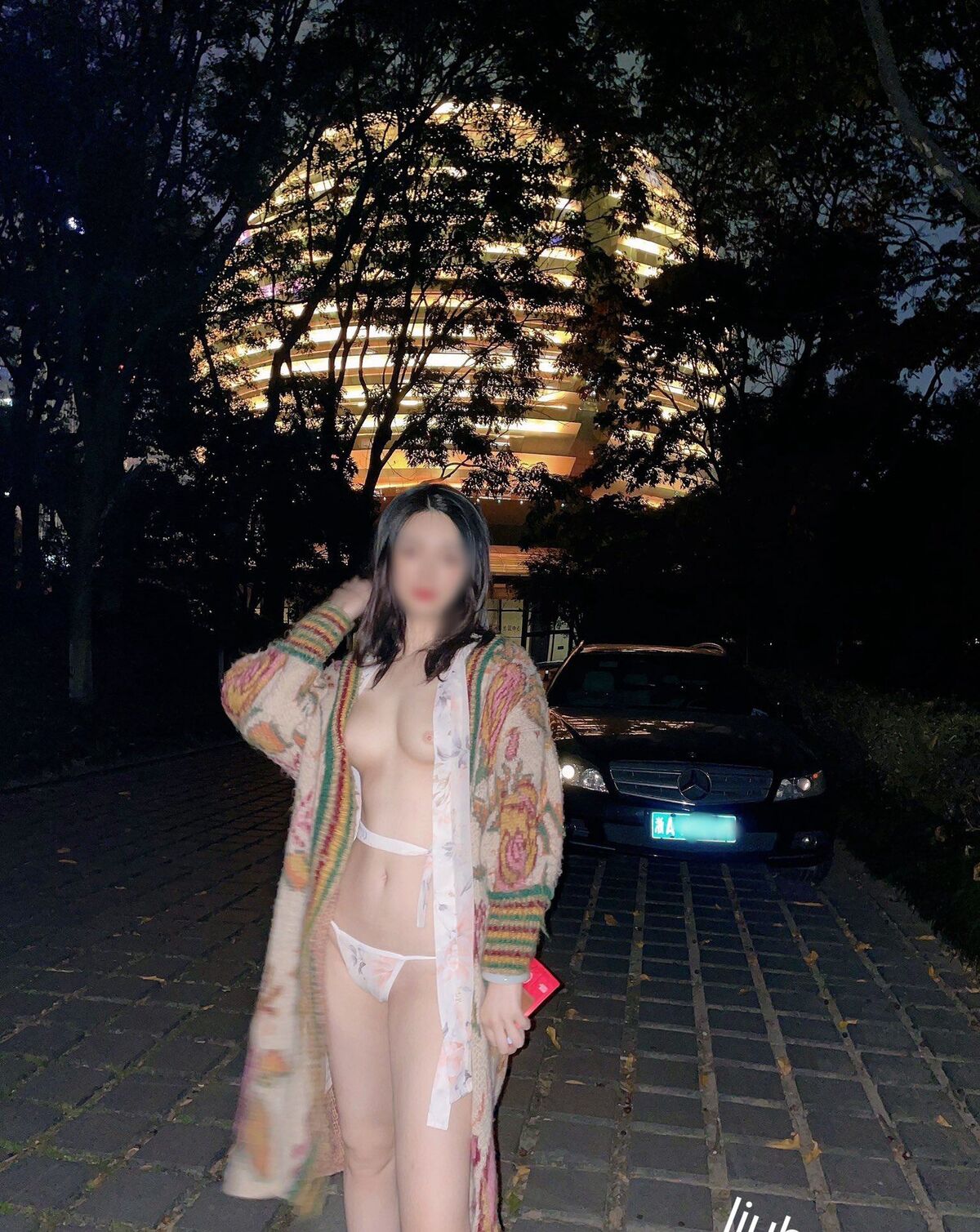 liubaiaai – 極品女神美穴超粉爽爆啪啪啪 (38P – 15V)