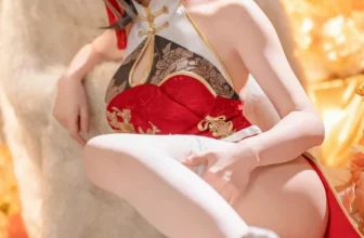 星之迟迟Hoshilily – 碧蓝航线柴郡