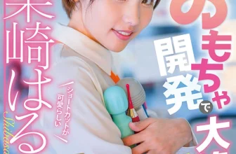 (動圖) Haru Shibasaki 關於玩具開發的很棒的文檔！ 女性成人用品研究…(23P)