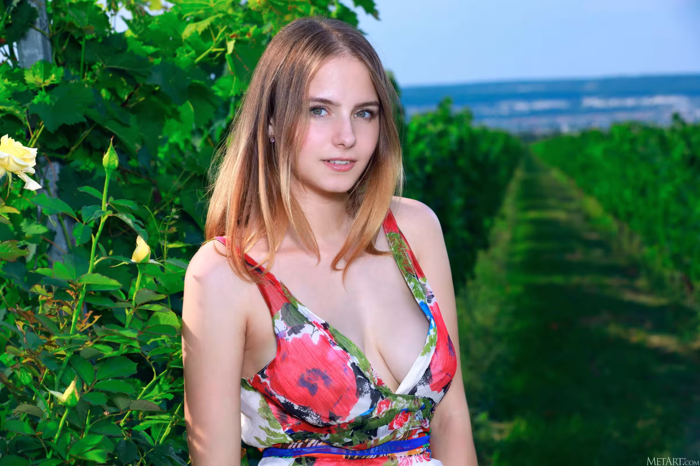 達科他粉紅色 – 感覺花（87p）