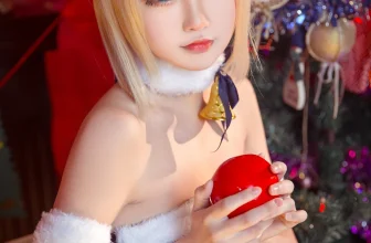 这个泡泡就是逊啦 – 阿尔托莉雅_圣诞贺[69MB-16photos]