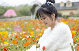 她们印象 No.006 天天