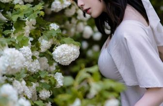 Coser@皮皮奶可可爱了啦 绣球花