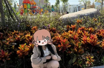 yaoyao0741(小夭) – 深圳南山03年极品露出反差学妹 表面文静内里淫荡自由穿梭校园露出[1.02GB-281photos]