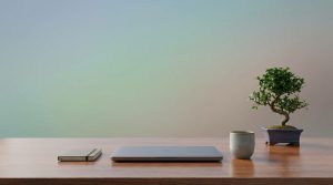 The Japanese Art of Decluttering: Applying Danshari to Modern Life-DigitCrate