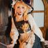 Coser@杪夏 – 爱丽丝梦游仙境套 Part1